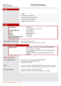 Visura Camerale - BBASE CLIMA di Borci Andrea