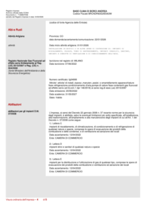 Visura Camerale - BBASE CLIMA di Borci Andrea